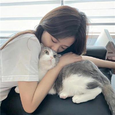 抬头见喜