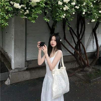 大盗狄林杰